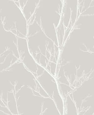 White Bare Tree Branches Digital Illustration Wallpaper
