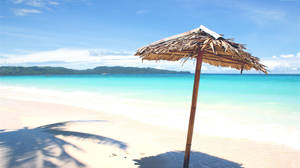 White Beach Native Parasol Wallpaper