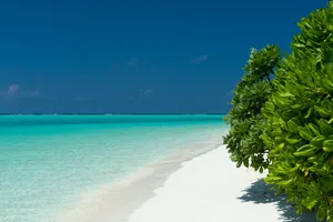 White Beach Perfect Symmetry Wallpaper