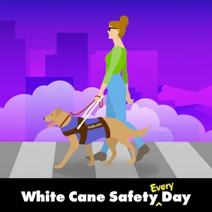 White Cane Safety Day Guide Dog Assistance Wallpaper