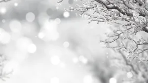 White Christmas In Winter Wallpaper