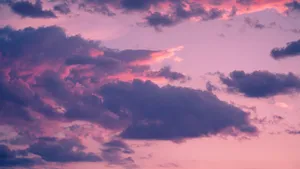 White Clouds Paint A Beautiful Sky Wallpaper