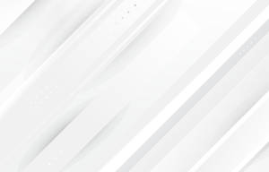 White Color With Lines Wallpaper