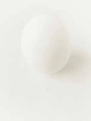 White Egg Wallpaper