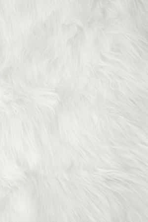 White Faux Fur Texture Wallpaper