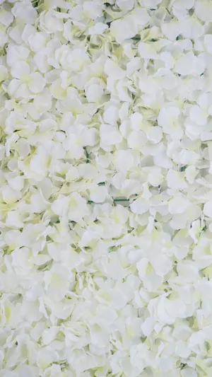 White Floral Backdrop Wallpaper