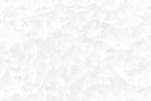White Floral Pattern Background Wallpaper