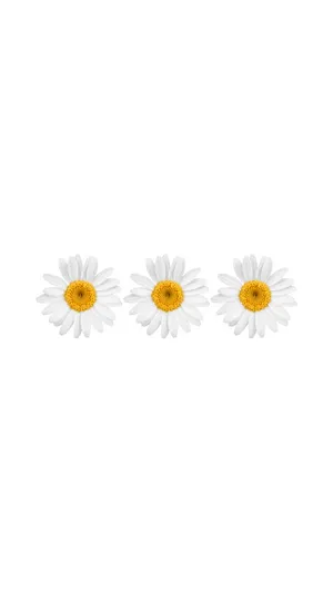 White Flower Pins For Iphone Wallpaper