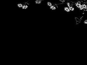 White Flowers On Black Tablet Wallpaper