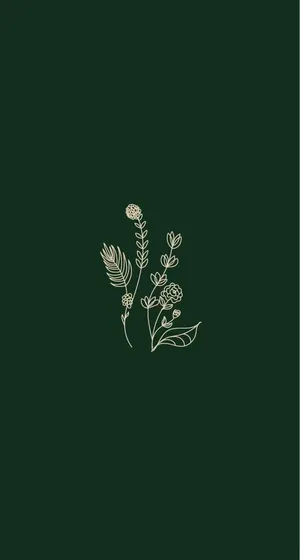 White Flowery Plants Plain Aesthetic Wallpaper