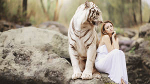 White Harimau And A Woman Wallpaper