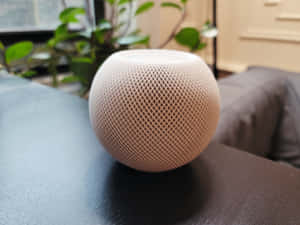 White Homepod Minion Table Wallpaper