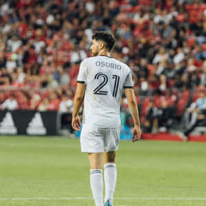 White Jersey No. 21 Jonathan Osorio Wallpaper