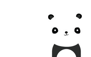 White Minimalist Cute Panda Wallpaper