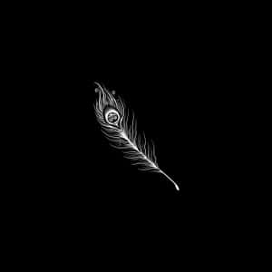 White Peacock Feather Dark Ipad Wallpaper