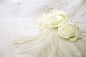 White Roseson Lace Fabric Wallpaper