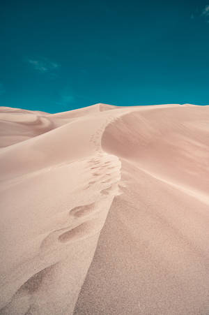 White Sand And Teal Sky Wallpaper