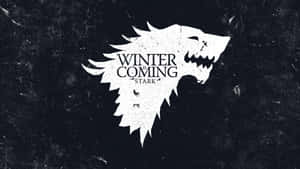 White Stark Logo Black Grunge Background Wallpaper