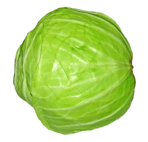 White Surface Cabbage Wallpaper