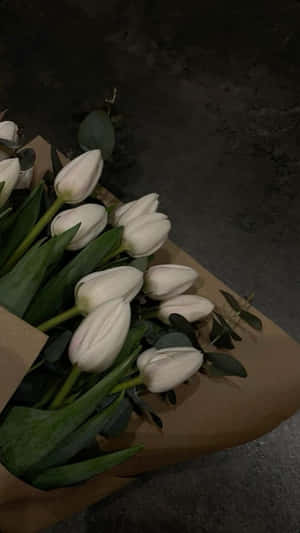 White Tulips Dark Backdrop Wallpaper