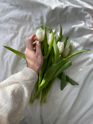 White Tulips Hand Bed Linen Aesthetic Wallpaper