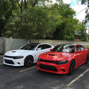 Whiteand Red Dodge Chargers Parked Wallpaper