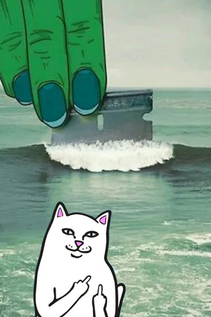 Who Else But Ripndip Is Always Here To Brighten Your Day? Wallpaper