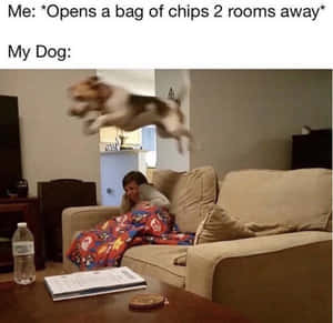 Who Says Work Can't Be Fun? Wallpaper