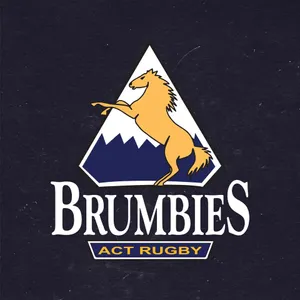 Wild Brumbies Galloping In Their Natural Habitat. Wallpaper