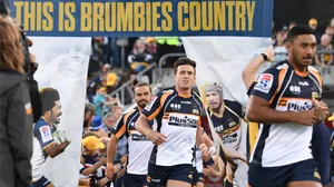 Wild Brumbies Galloping Through The Open Field In The Golden Sunlight. Wallpaper