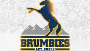 Wild Brumbies Running Together In Open Field Wallpaper