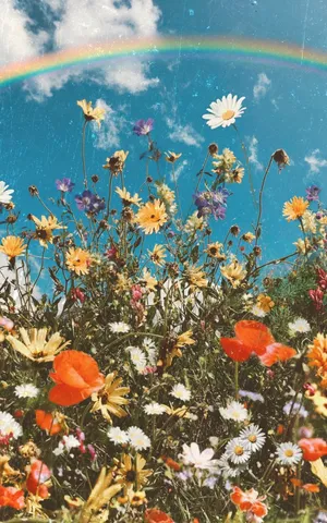 Wildflower_ Meadow_with_ Rainbow.jpg Wallpaper