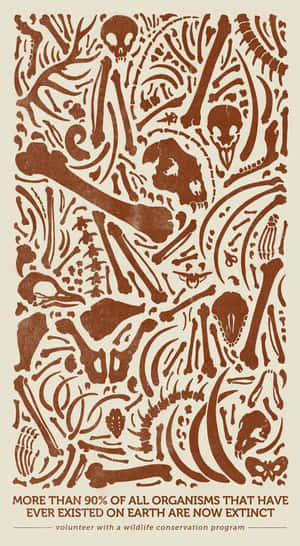 Wildlife Conservation: A Close Encounter With A Majestic Elephant Wallpaper