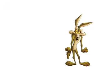 Wile E Coyote Planning For His Next Adventure Wallpaper