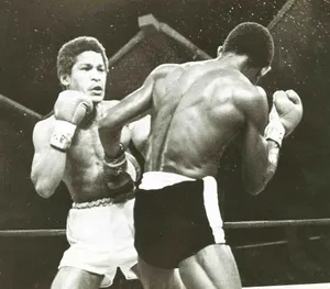 Wilfred Benítez Punch Colombian Antonio Cervantes Wallpaper