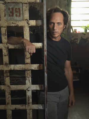 William Fichtner Posing For A Portrait Wallpaper