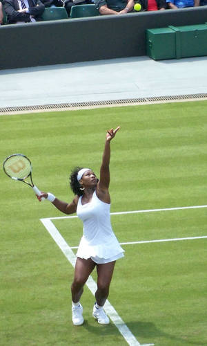 Wimbledon Champion Serena Williams Serving Wallpaper