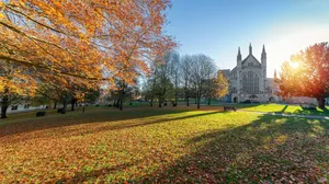 Winchester Cathedral Autumn Sunrise Wallpaper