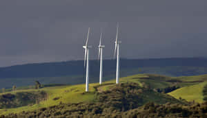 Wind Turbineson Rolling Hills Palmerston North Wallpaper