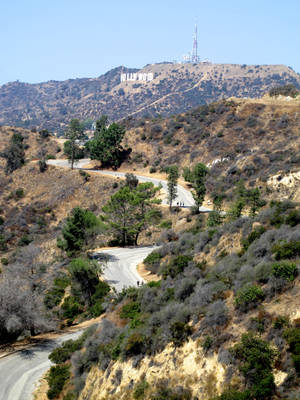 Winding Road In Hollywood Wallpaper