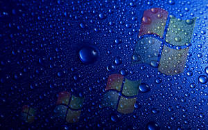 Windows 10 Hd Water Droplets Wallpaper