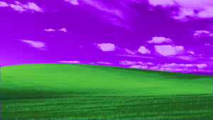 Windows X P Bliss Alternative Color Scheme.jpg Wallpaper