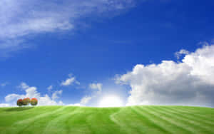 Windows X P Bliss Hill Wallpaper