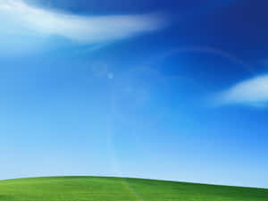 Windows X P Bliss Hills Wallpaper