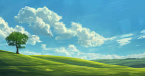 Windows X P Bliss Hills Wallpaper