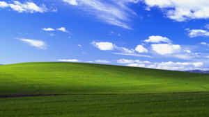 Windows X P Bliss Hills Sky Wallpaper