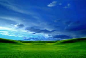 Windows X P Bliss Hills Sky Wallpaper