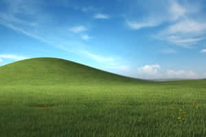 Windows X P Bliss Hills Wallpaper