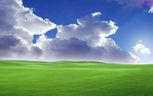 Windows Xp Logo Wallpaper