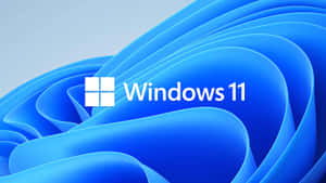 Windows11 Default Wallpaper Wallpaper